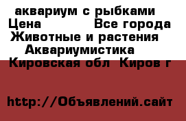 аквариум с рыбками › Цена ­ 1 000 - Все города Животные и растения » Аквариумистика   . Кировская обл.,Киров г.